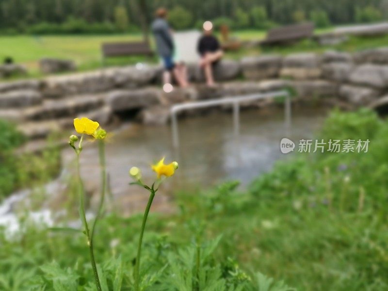 休闲活动在美丽的自然公园与栽培池塘im德国村庄