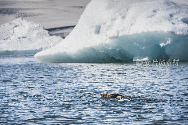 Jokulsalon冰川湖