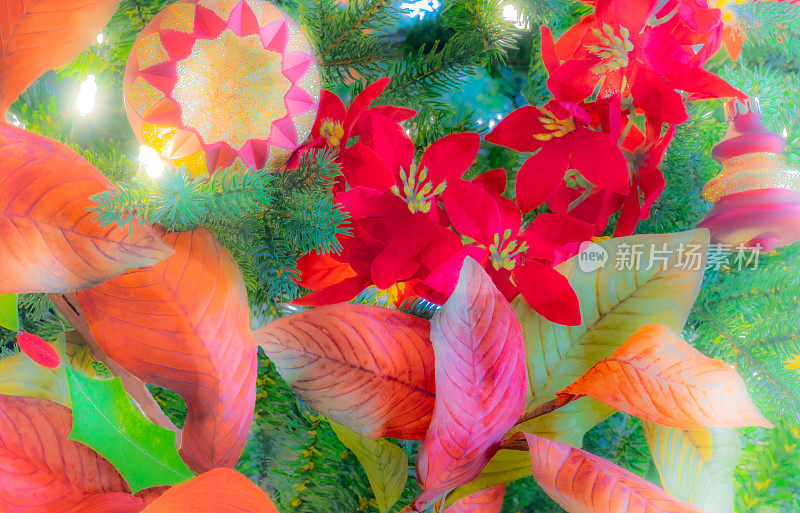 秋叶和红一品红装饰圣诞树(P)