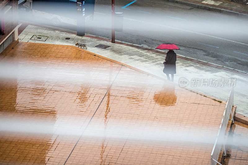 雨中的城市