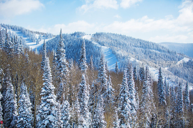 滑雪场景色优美，冬季景色宜人