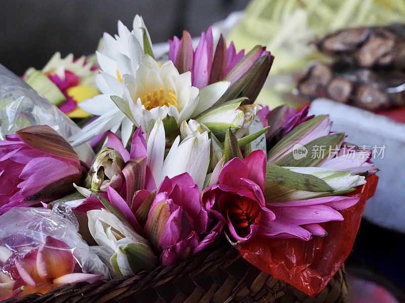 巴厘岛乌布市场的莲花