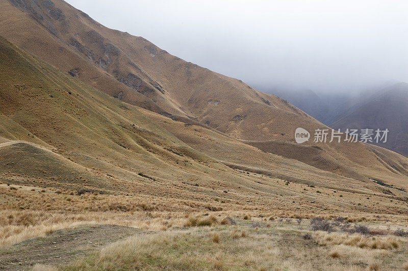 新西兰南岛林迪斯山口干燥干燥的山坡