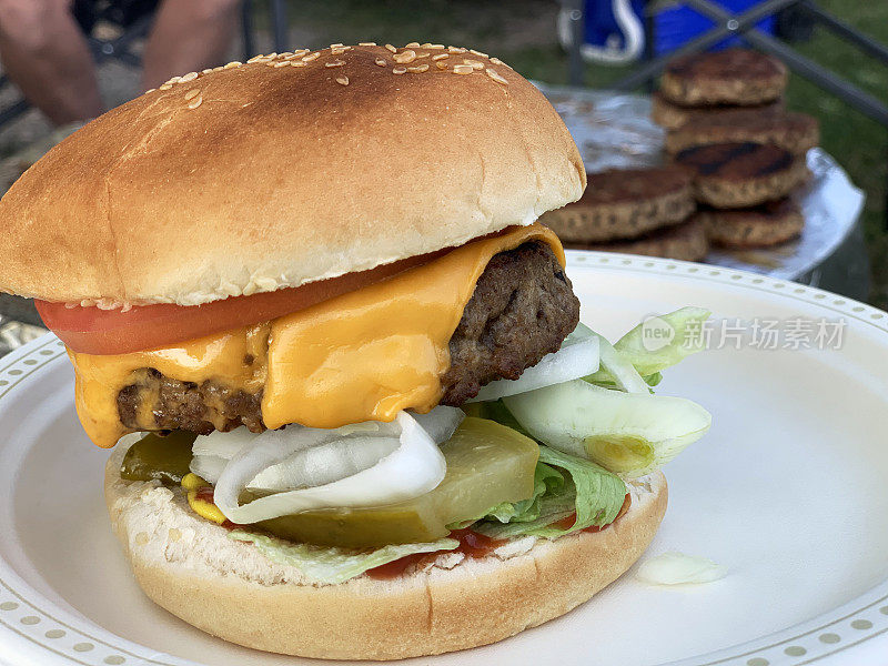 新鲜烤营火芝士汉堡享受户外野餐，佩恩湖，南阿尔伯塔