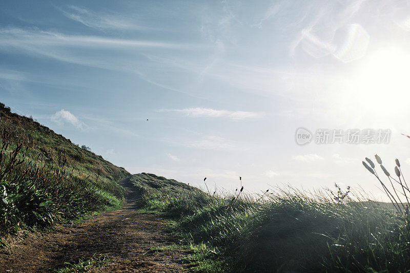 海岸小径和野生悬崖顶上的草秋天阳光，纽基，康沃尔。