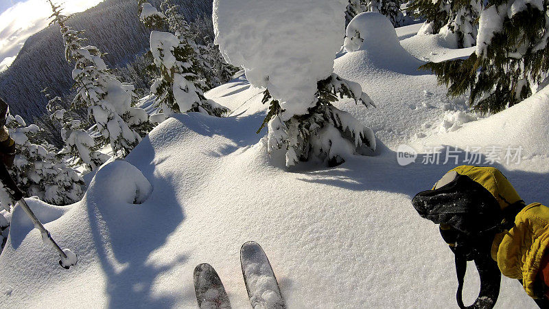 野外滑雪者骑过新粉雪的POV