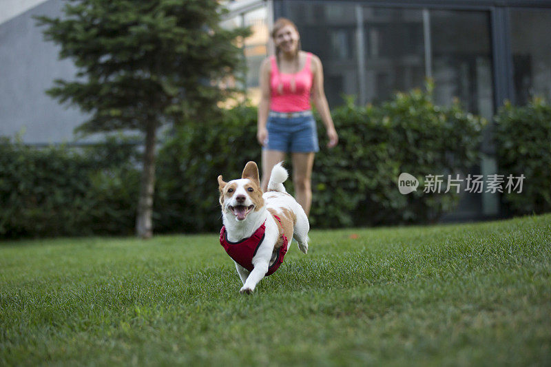 快乐的年轻女人和她的狗在户外玩得很开心