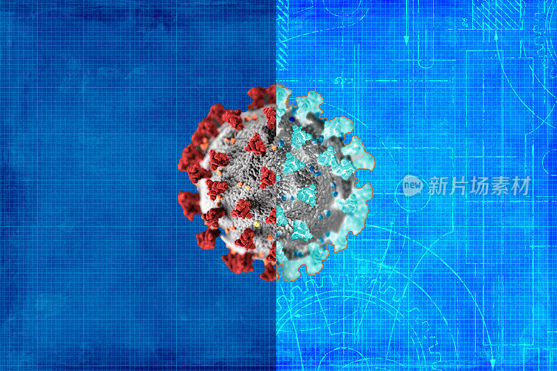 Covid-19基因变异和突变。它变得更具传染性。