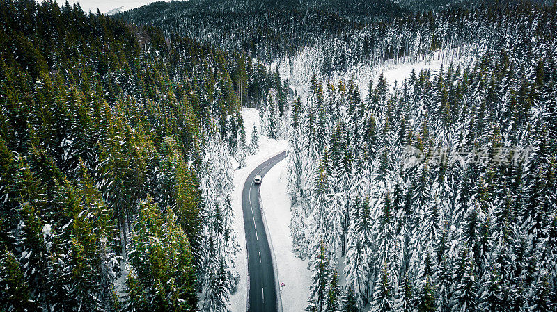 弯曲多风的道路在积雪覆盖的森林，从上到下鸟瞰