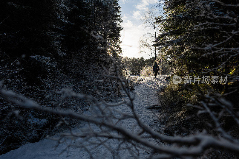 在大雪纷飞的冬日里，一名男子在森林里徒步旅行