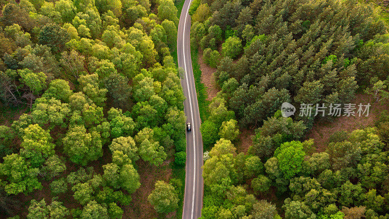 鸟瞰图的黑色汽车在道路上通过森林在黄昏