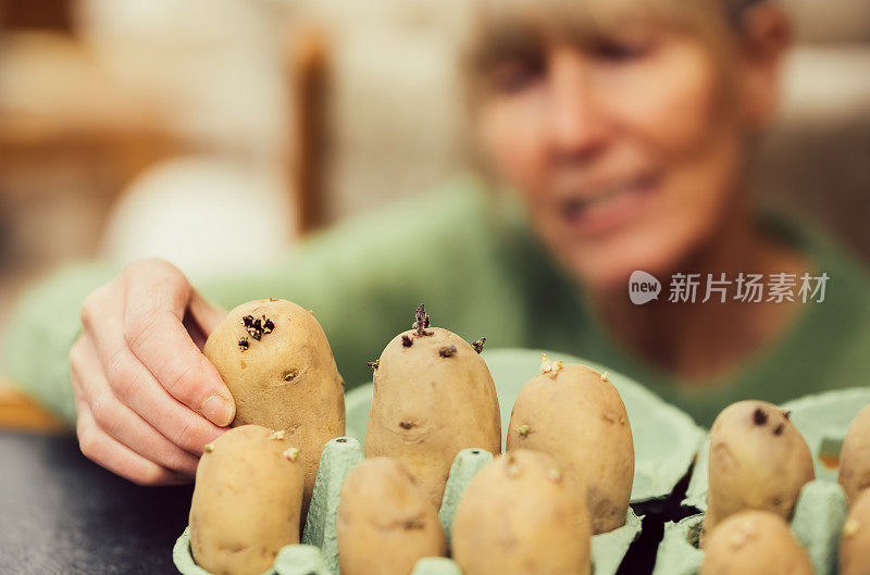 切廷土豆