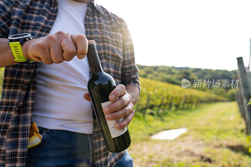 葡萄收获为酿酒讲故事:收获后用玻璃杯放松