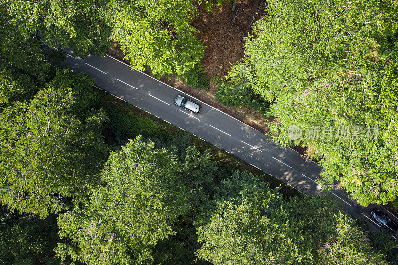 森林中的道路-鸟瞰图