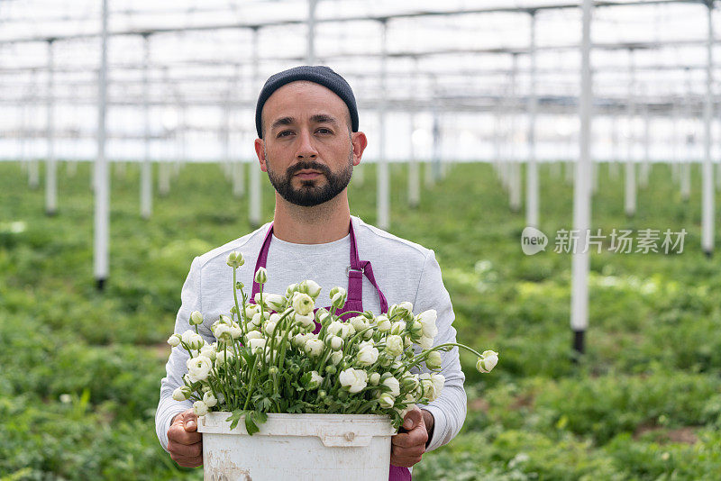 成人花匠在毛茛温室工作的照片