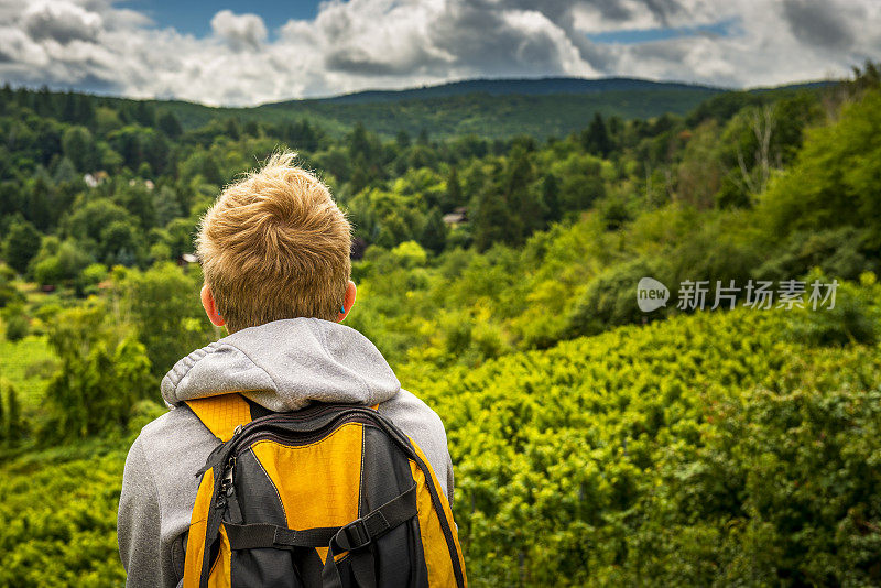 一个在莱茵兰-普法尔茨寻找葡萄园的少年