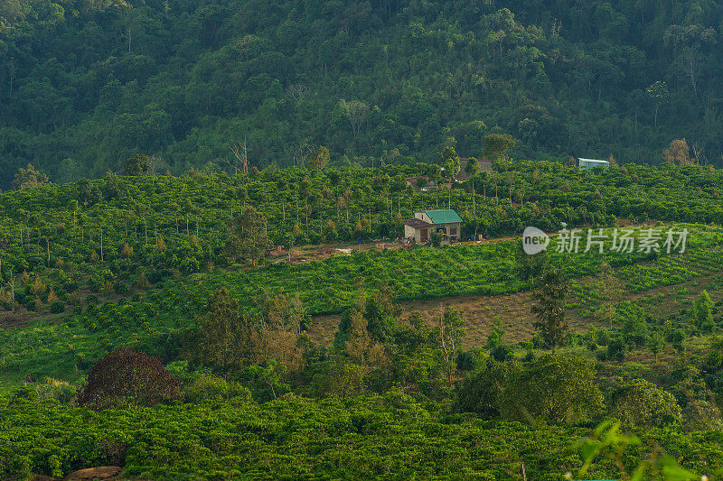 越南林东省宝禄市附近山谷和山脉的美丽景色