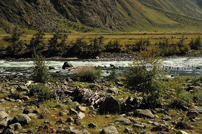 巨大的石头和干枯的树枝躺在一条美丽的山脚下河流的河岸上。