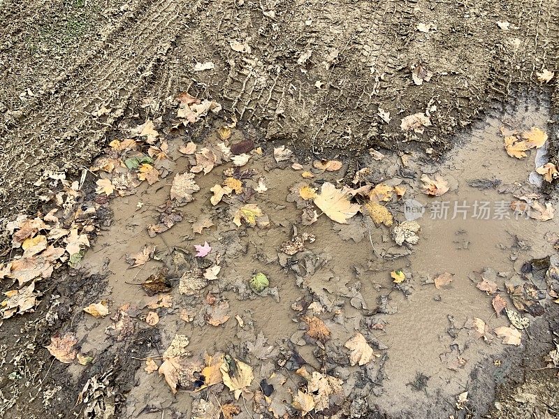 冰冻的泥泞水坑与秋叶