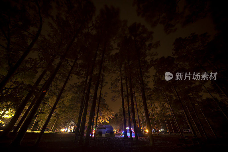 广角拍摄的夜间帐篷和房车露营与他们的灯照亮了松树林