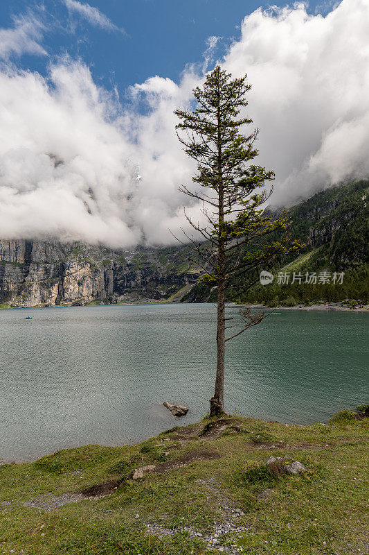 瑞士欧斯奇南湖，前景有树