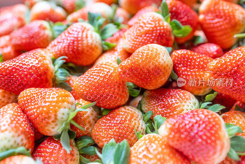 新鲜草莓的侧视图
