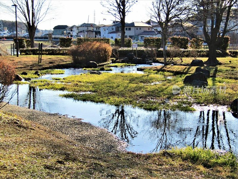 一月的晴天。日本公园有小水流。