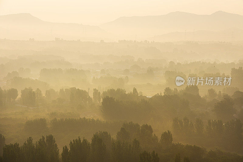 山丘和树林在清晨的阳光下闪闪发光