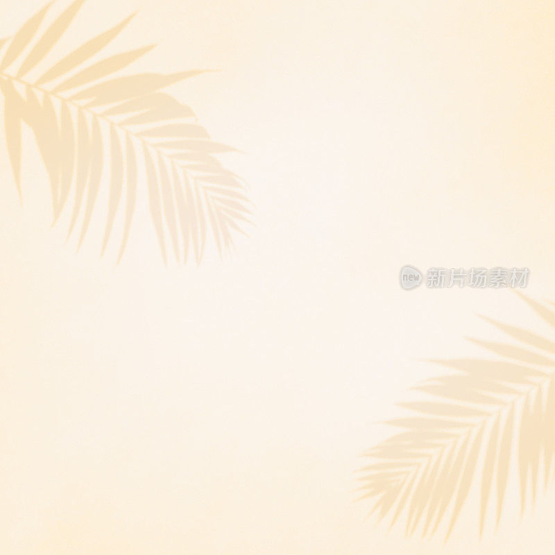 浅橙色夏季棕榈叶阴影背景