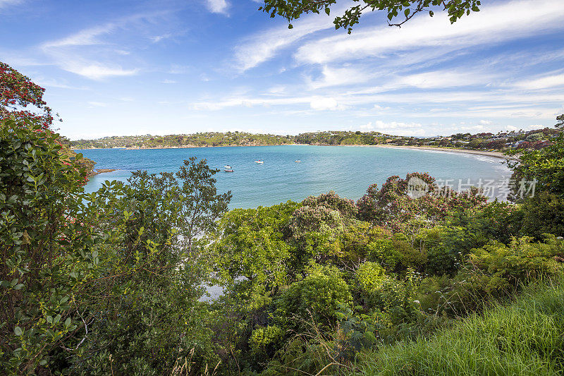 Waiheke岛海岸线，奥克兰，新西兰