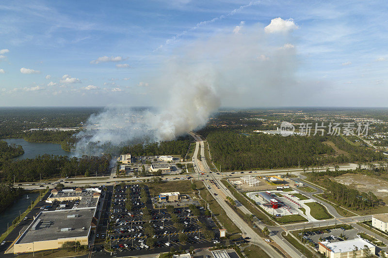 佛罗里达州北港市的野火在干燥的冬季严重燃烧。浓烟在郊区房屋上空升起