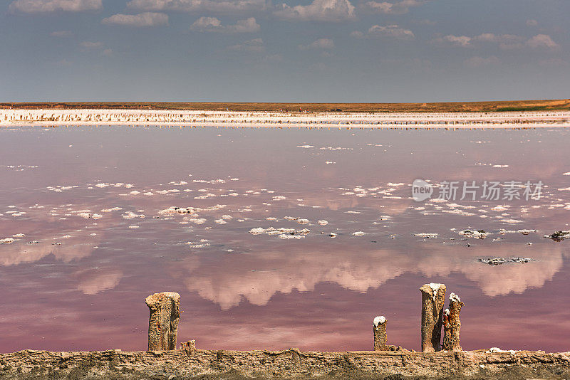 粉红色的湖，有治愈的粉红色盐和泥。盐矿开采留下的旧木桩。在一个阳光明媚的日子里，粉红色的湖水反射出美丽的云。