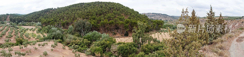在格拉纳达和科尔多瓦之间，沿着一条土路穿过卡米诺・莫扎拉布连绵起伏的山丘，可以看到一望无际的橄榄树