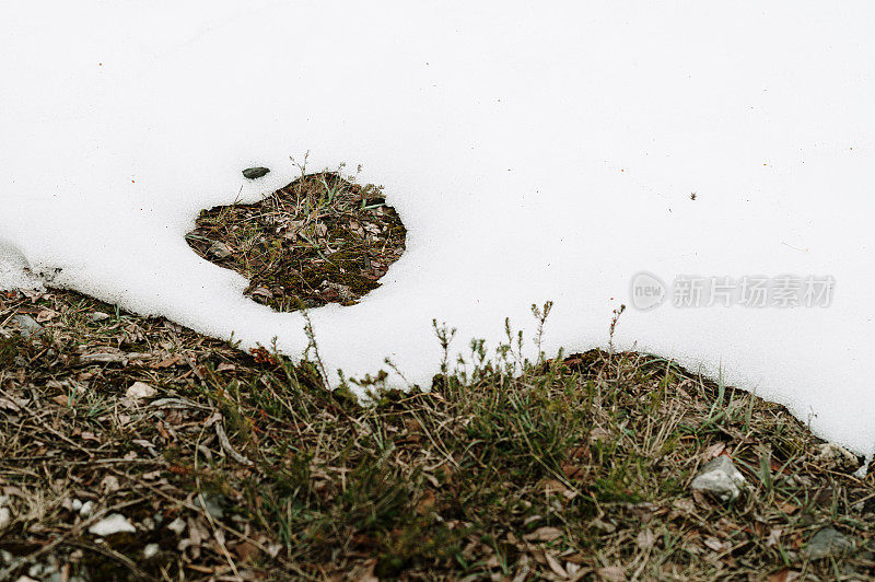 部分被雪覆盖的土壤