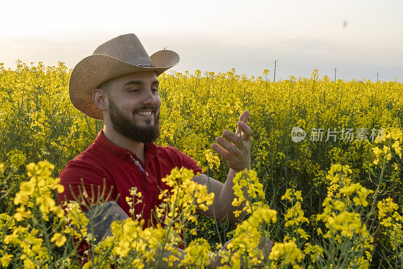 温室里的手工工人拿着装有鲜花的板条箱