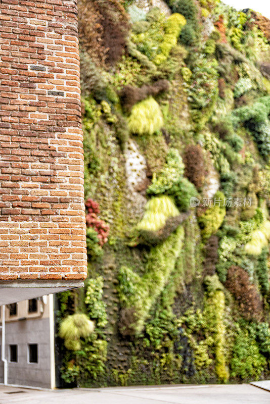 马德里市中心的绿墙