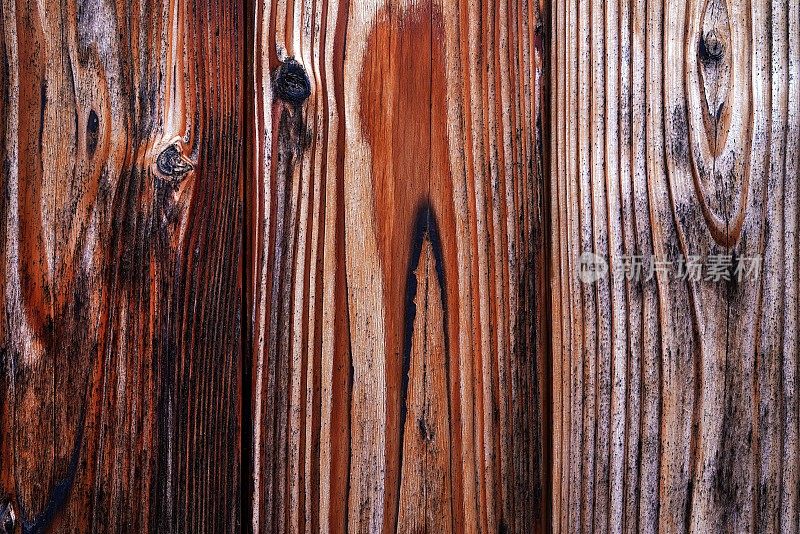 漂亮的木纹。木头的背景。木纹图案纹理背景