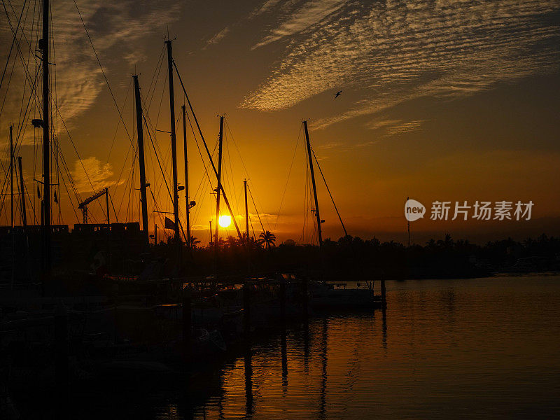 帆船的剪影，在日出时停泊在平静的港口，盘旋的鸟儿。
