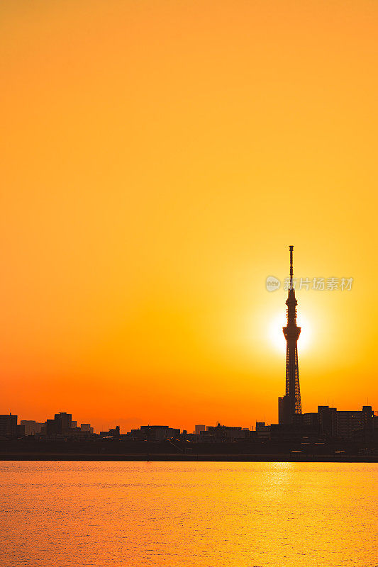 东京天空树的剪影和日落时的东京城市景观