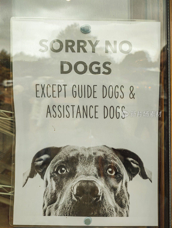 苏格兰、英格兰、英国格拉斯哥街头的“狗不得入内”标志