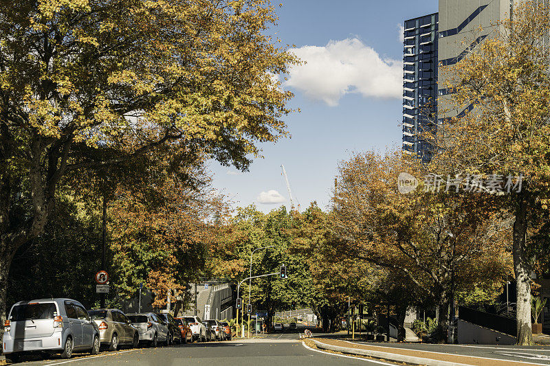 奥克兰市秋景