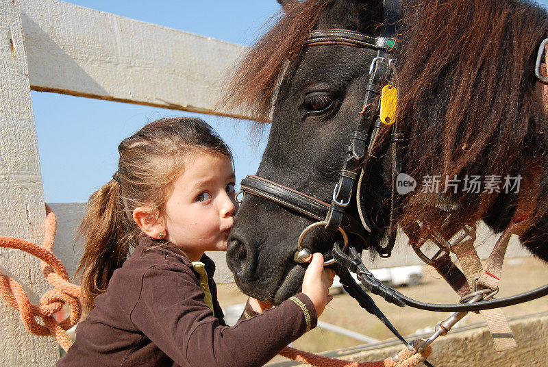 小女孩和她的小马