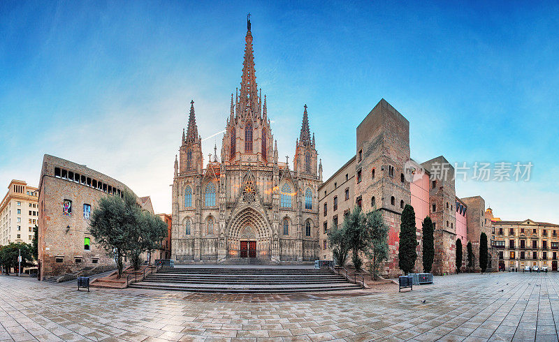 巴塞罗那大教堂全景图。西班牙。擅长哥特式