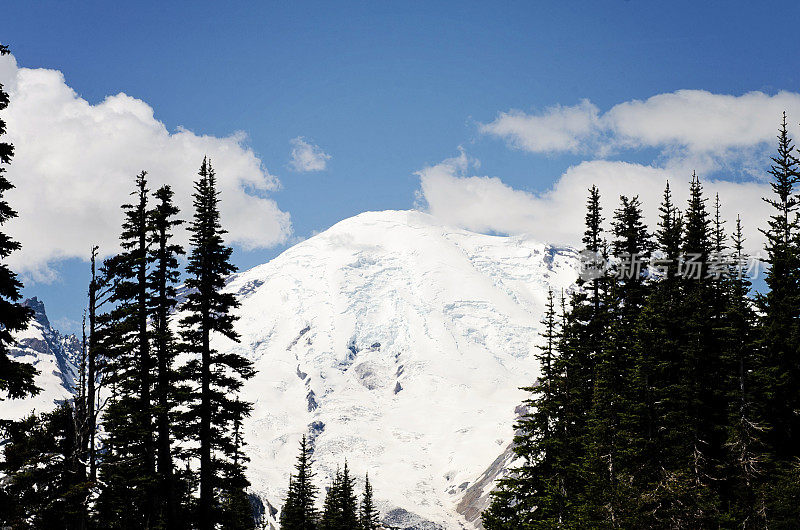 雷尼尔山