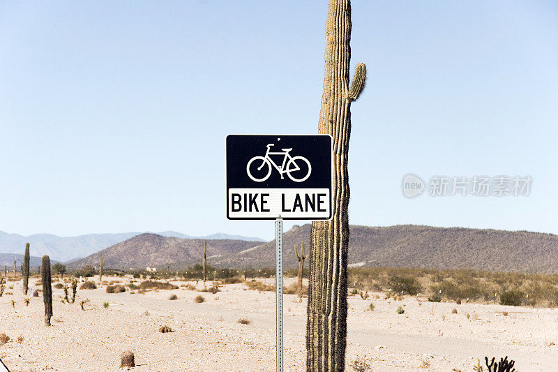 沙漠中的自行车道