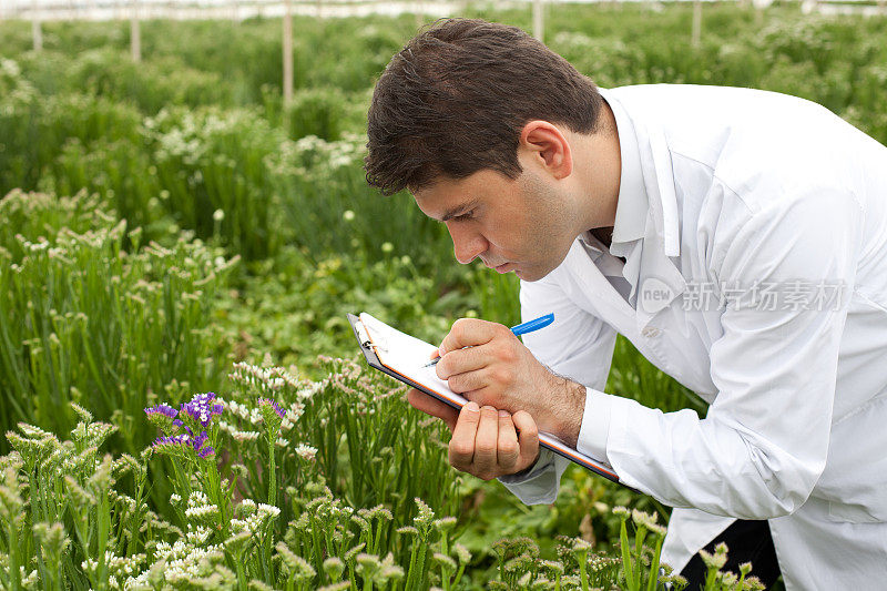 科学家检查并记录温室里的花