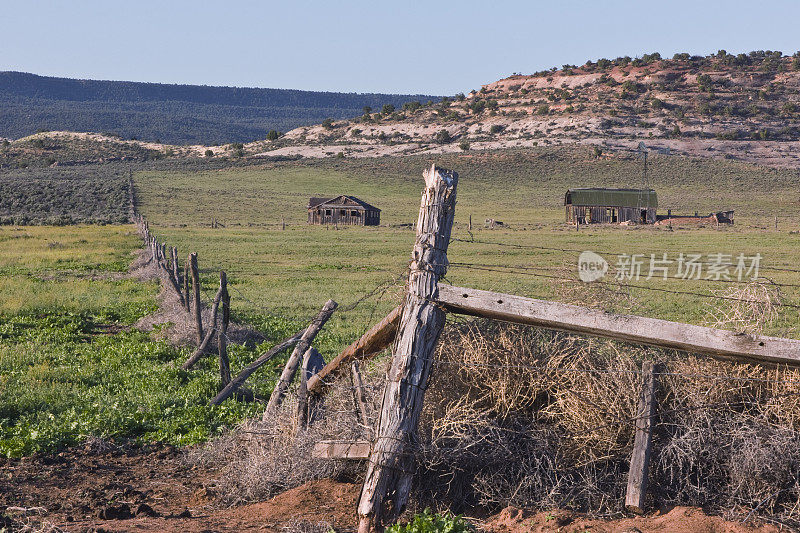 废弃的犹他牧场，篱笆边长满了风滚草。