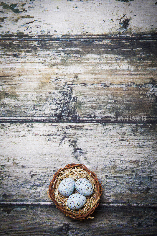 复活节彩蛋窝在古老的木头上