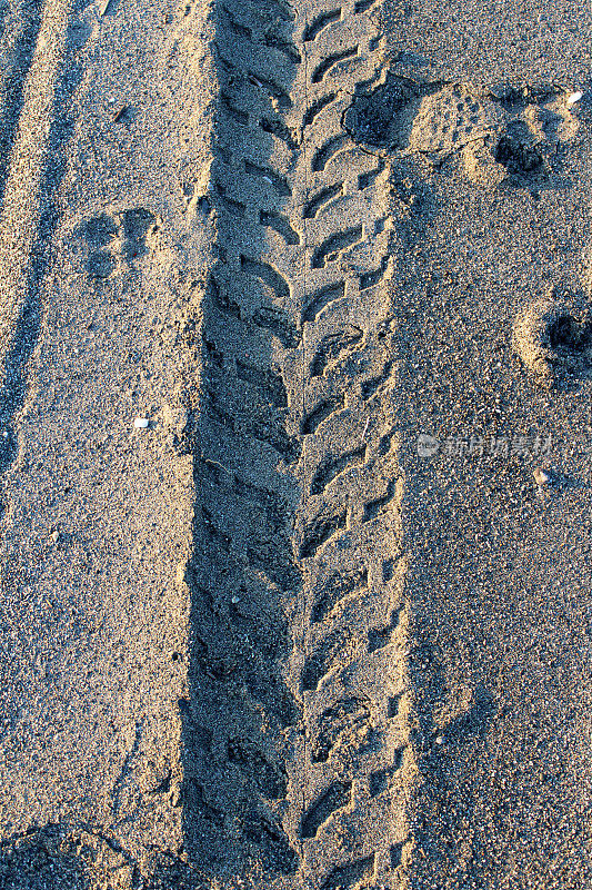 砂上轮胎印