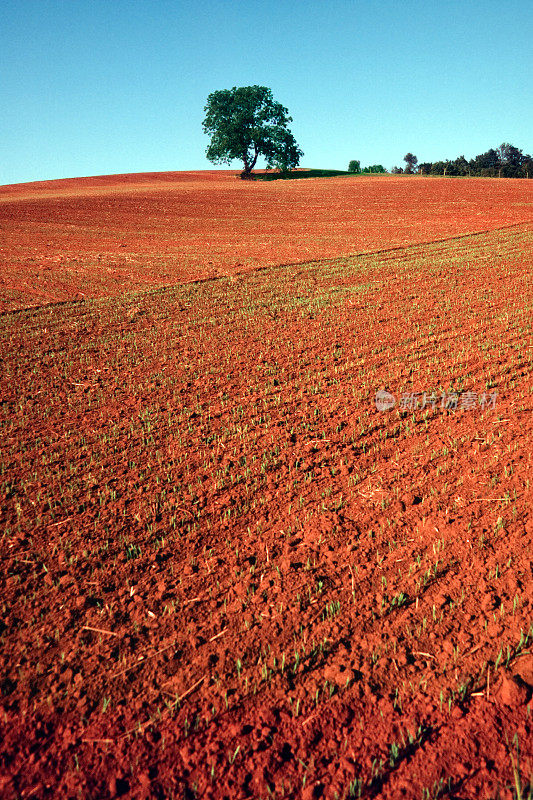 法国中部的农业:红壤